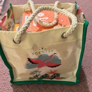 Scentsy 5 pack brand new never used spring / summer scents!